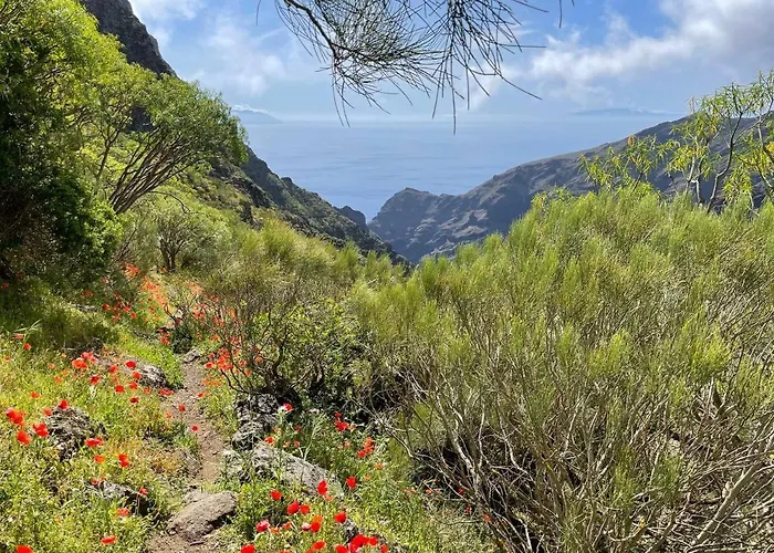 Bellarosa Sunset Ocean View In With Airco, Garage